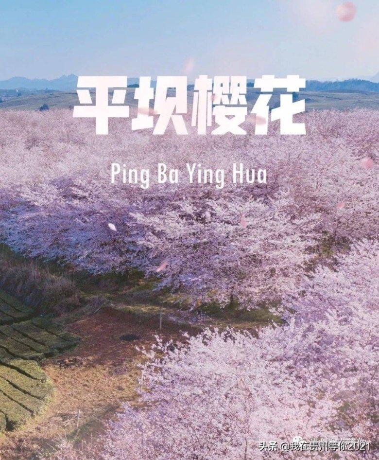 召唤神龙万宁版祖龙